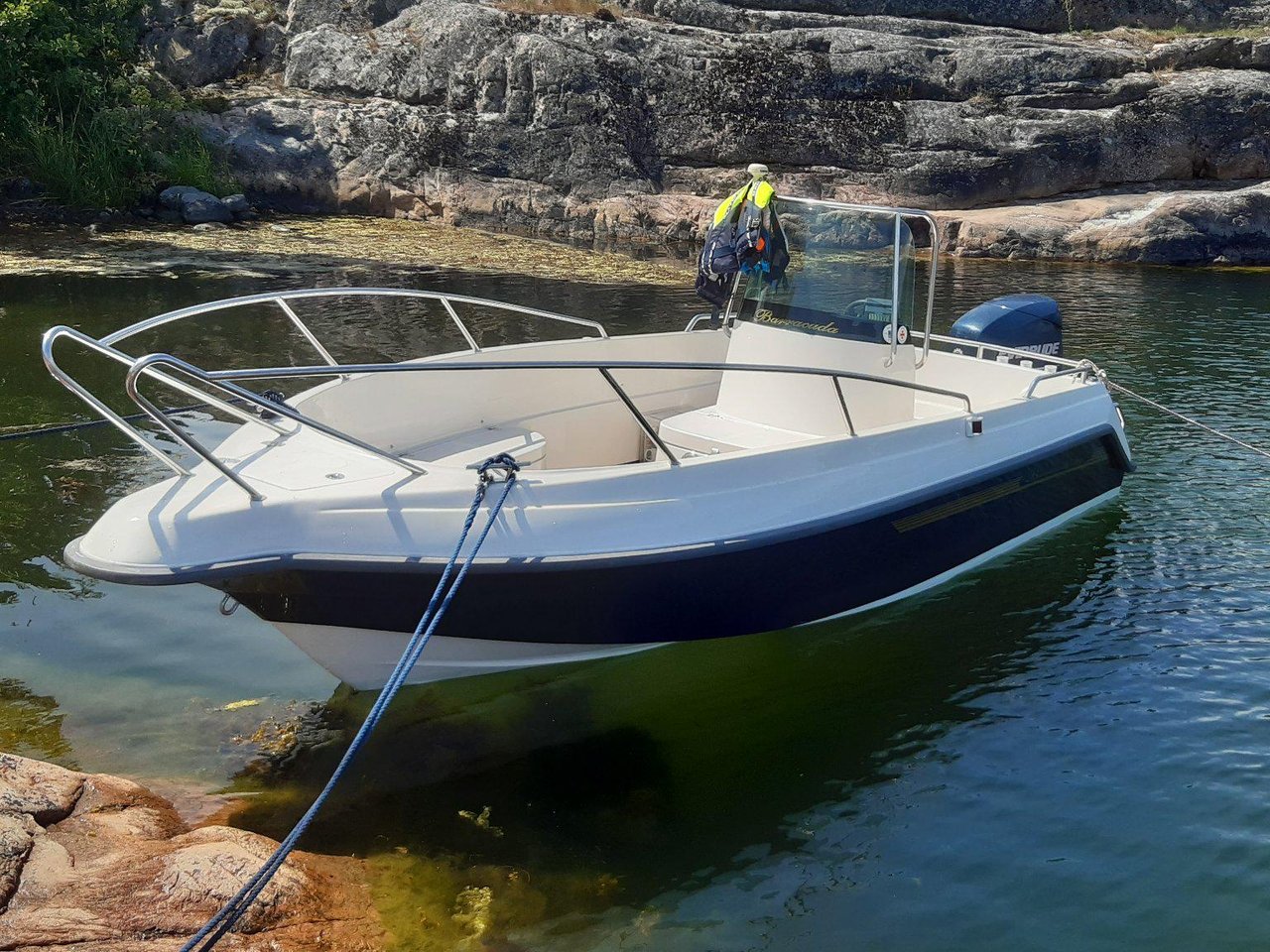 Barracuda 560