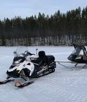 Lynx 49 Ranger 900 ACE