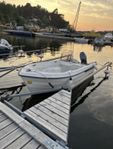 Ryds 480 RSI Styrpulpet inkl Fogelsta trailer
