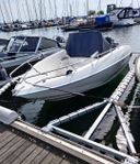 Örnvik 500 flamingo 