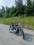 Suzuki VS 800 GL 