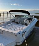 Superfin SeaRay Sunsport