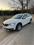 Skoda Octavia Scout 2.0 TDI 4x4 Euro 6