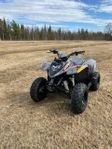 Polaris Phoenix 200