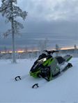 Arctic cat hardcore