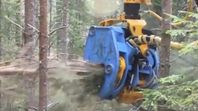Bioenergiaggregat sökes