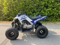 Yamaha YFM 90 Raptor