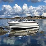 Ryds 548 mid c med Mercury 80 hk