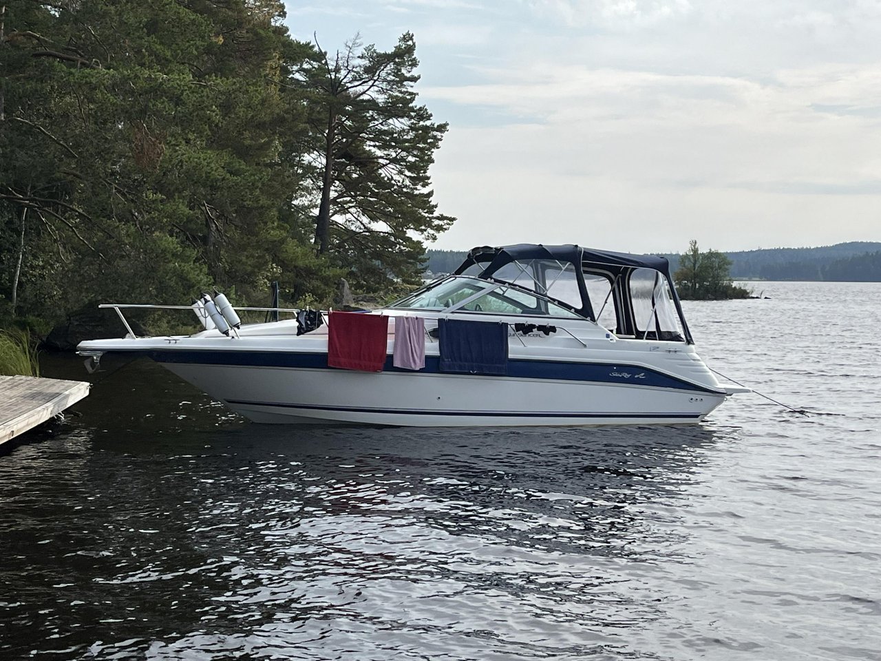 Sea ray 270