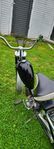 rex moped