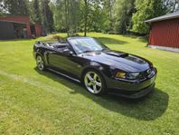 Ford Mustang GT Convertible 2003