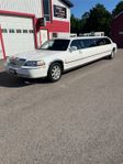 Lincoln Town Car Stretch 4.6 V8 2V SOHC