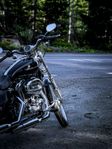 Harley Davidson Sportster 1200 XLC