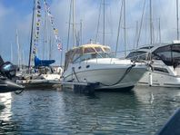 Sea Ray Sundancer 280/315 bogpropp
