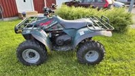 Polaris Magnum 425 