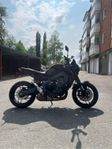 Mt-09