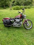 Harley sportster 1200 - 96