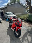 Derbi GPR 50