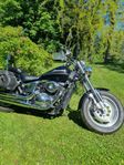 SUZUKI VZ 800 1254 mil
