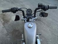 Harley Davidson sportster 883