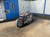 HD Softtail Special