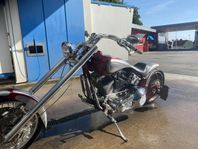 HD Softtail Special