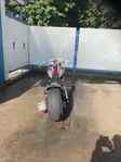 HD Softtail Special