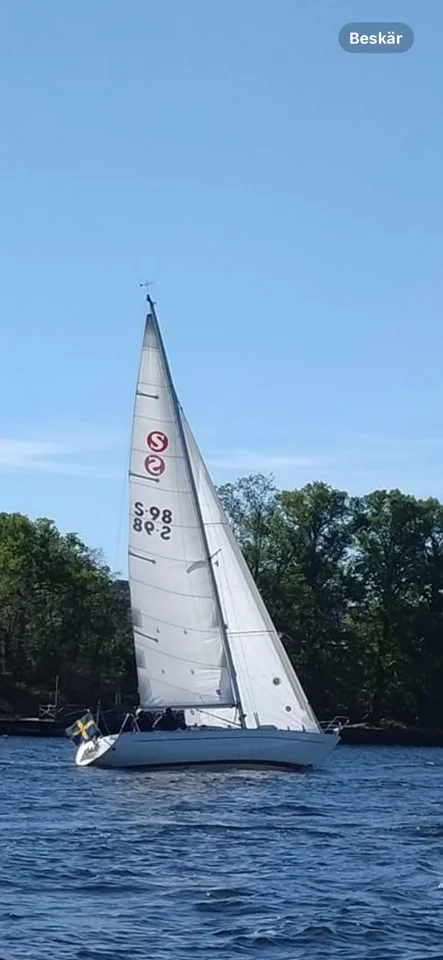 Senorita Helmsman 31 image