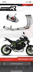 Dominator helsystem z900