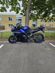 2023 Yamaha R7