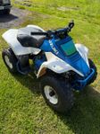 Suzuki LT80