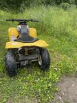 Suzuki LT80 