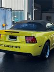 Ford SVT Cobra *påkostad*