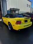 Ford SVT Cobra *påkostad*