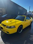 Ford SVT Cobra *påkostad*