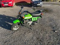 Kawasaki KV 75