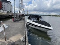 Campion allante 545