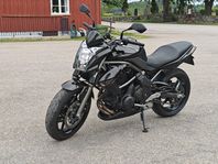 ER-6N, lågmilad, lackad