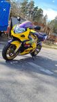 Suzuki gsxr 600 Alstar unikt samlar exemplar