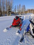 polaris sks axys 800 155" 2016
