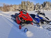 polaris sks axys 800 155" 2016