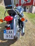 Kawasaki VN 800 Classic 