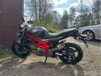 Suzuki Gladius 650