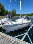 Albin Cirrus 123