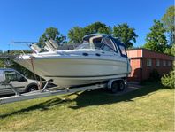 Sea Ray Sundancer 260/275 - 04