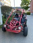PGO Bugxter el bugrider