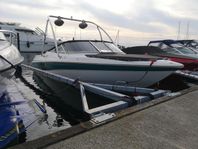 Wellcraft Eclipse 186 V8 nyrenoverad