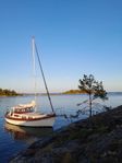 Motorseglare Nautilus 31