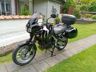 Triumph Tiger 955
