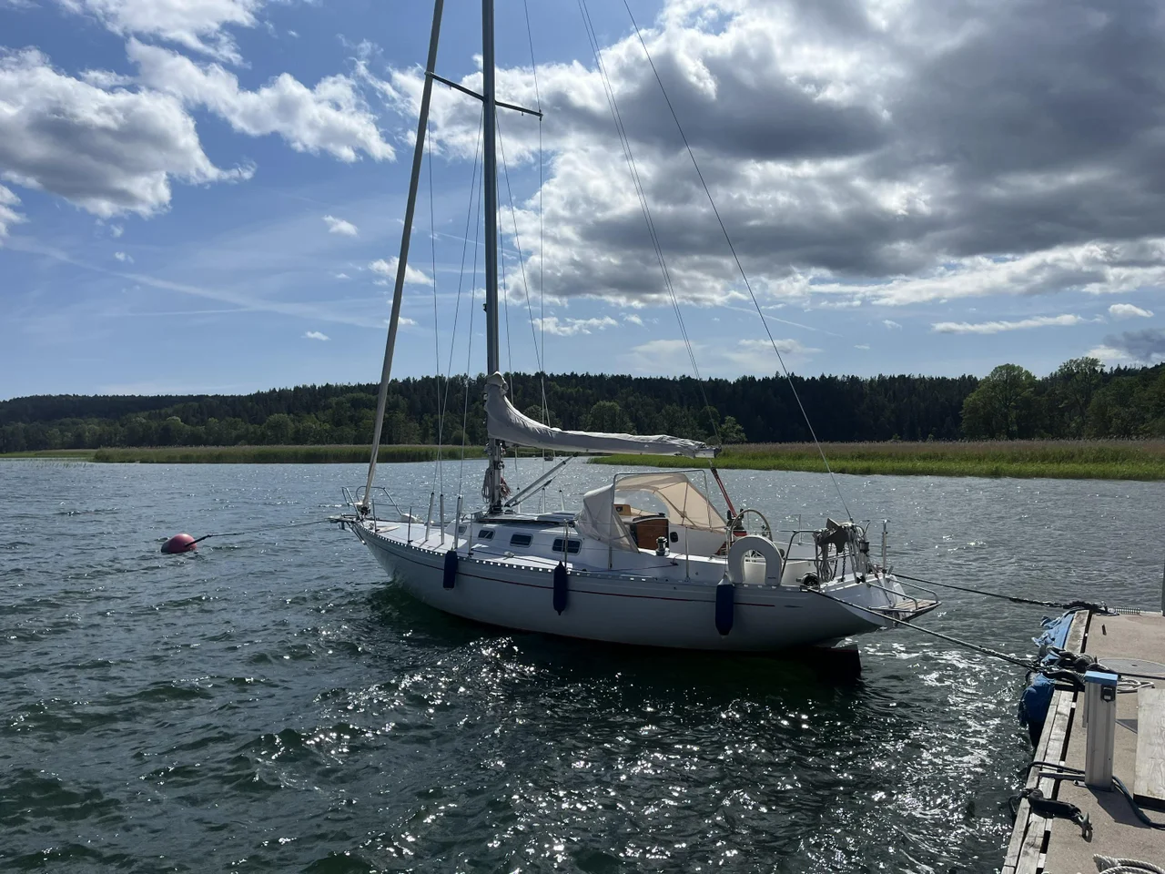 OE 36 CROWN MKII image